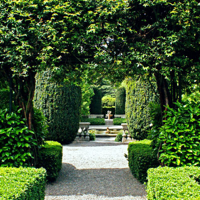 Beaulieu Garden: Sunken Garden through the trees