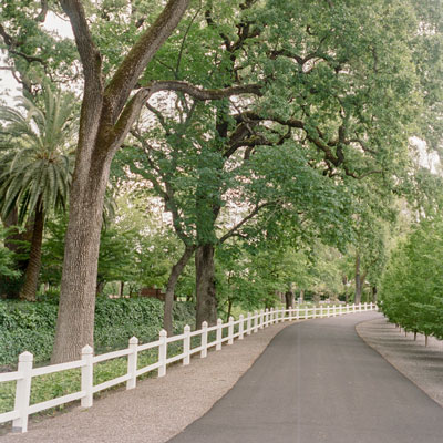 Beaulieu Garden: Tree-lined road