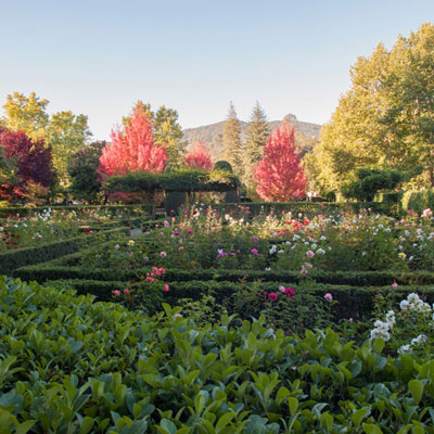 Beaulieu Garden: Rose Garden