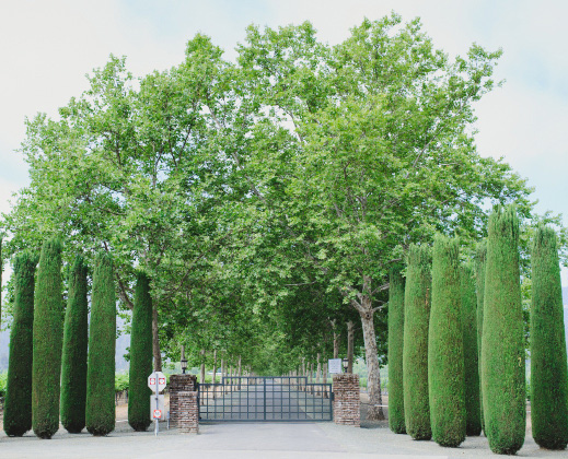 Entrance Gate to Bealieu Garden